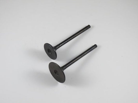 Engine Valve Set Trx350 Rancher (00-06) - 07-029 | Shindy