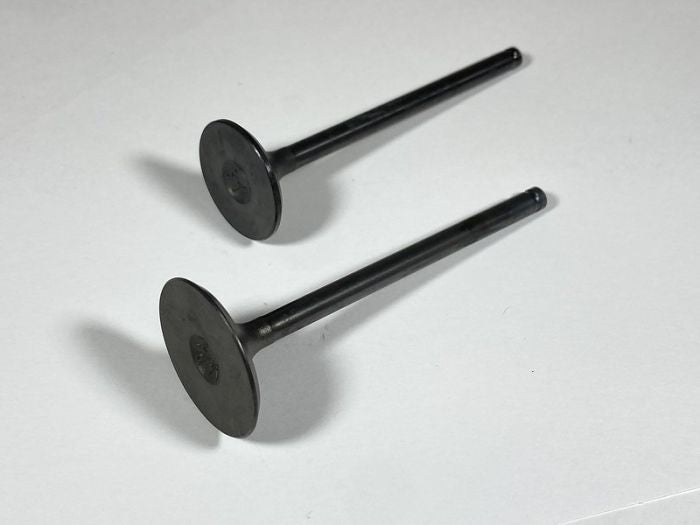 Engine Valve Set Trx250te/Tm (02-20) - 07-032 | Shindy