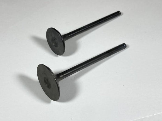 Engine Valve Set Trx250te/Tm (02-20) - 07-032 | Shindy