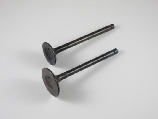 Engine Valve Set Klf300/4X4 (85-04) - 07-101 | Shindy