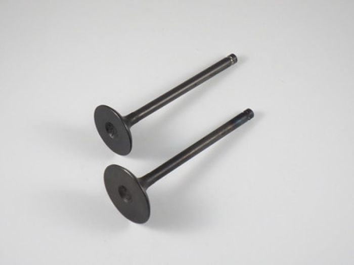 Engine Valve Set Klf250 (03-11) - 07-109 | Shindy