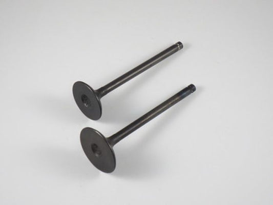 Engine Valve Set Klf250 (03-11) - 07-109 | Shindy