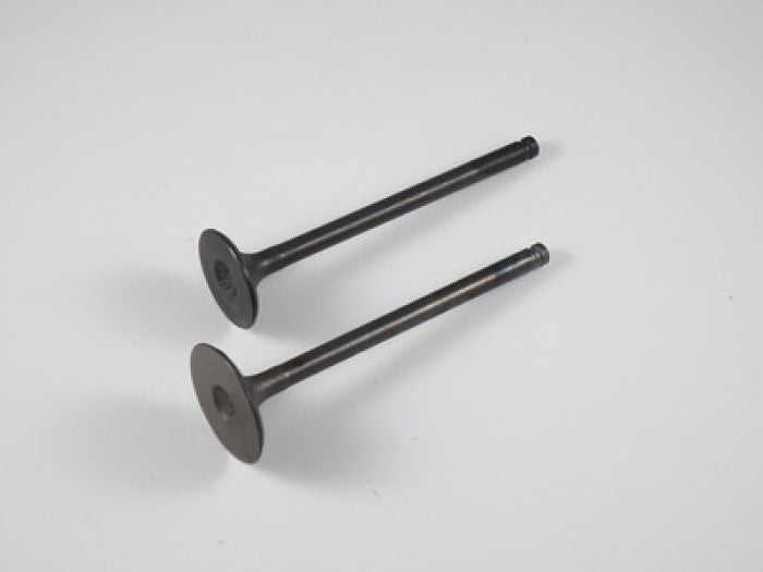 Engine Valve Set Ksf250 (87-03) - 07-110 | Shindy