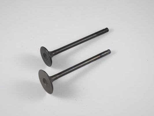 Engine Valve Set Ksf250 (87-03) - 07-110 | Shindy