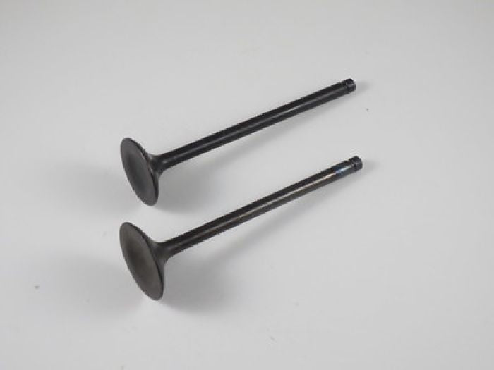 Engine Valve Set Klf/Kvf400 - 07-113 | Shindy