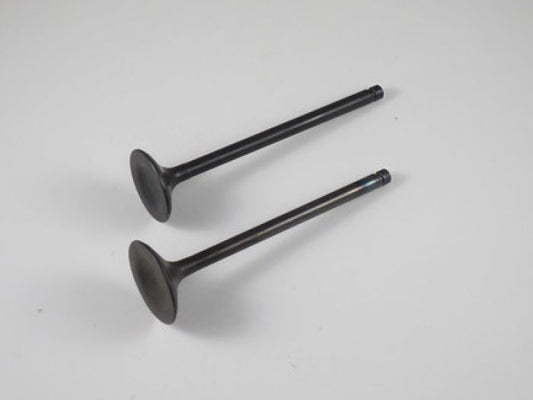 Engine Valve Set Klf/Kvf400 - 07-113 | Shindy