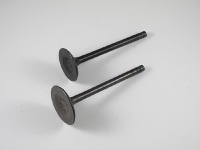 Engine Valve Set Kvf360 (03-11) - 07-115 | Shindy