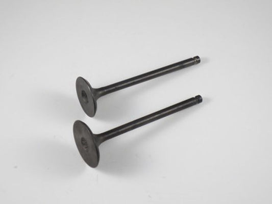 Engine Valve Set Ltf230e/Ge/F - 07-204 | Shindy