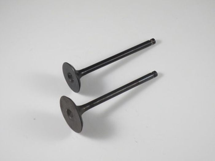 Engine Valve Set Lt-F300f (99-02) - 07-205 | Shindy