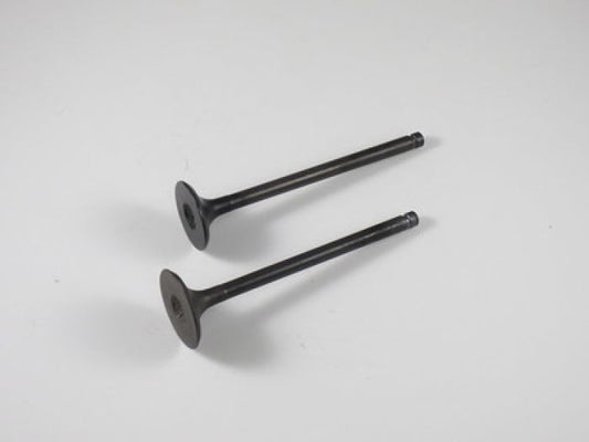 Engine Valve Set Lt-F160 (91-01) - 07-206 | Shindy