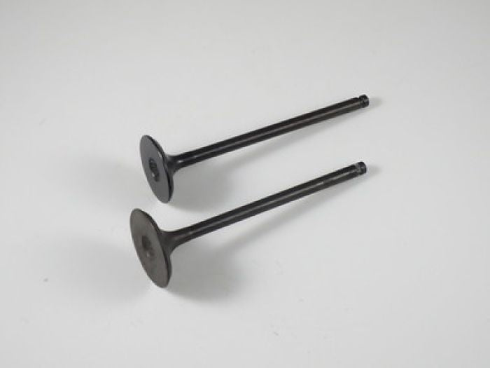 Engine Valve Set Lt-F500f (98-07) - 07-207 | Shindy
