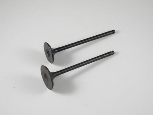 Engine Valve Set Lt-F500f (98-07) - 07-207 | Shindy