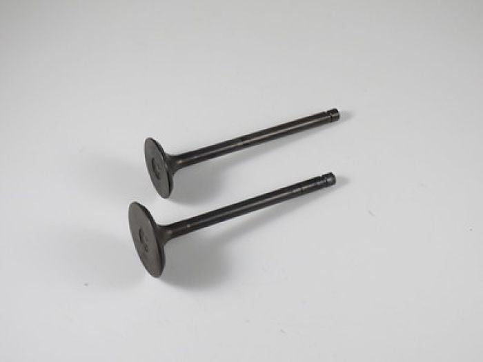 Engine Valve Set Yfm250b (05-09) - 07-301 | Shindy