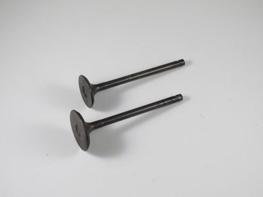 Engine Valve Set Yfm250b (05-09) - 07-301 | Shindy