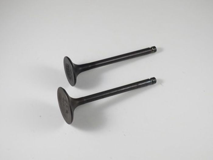 Engine Valve Set Yfm350f/Fw (87-99) - 07-302 | Shindy