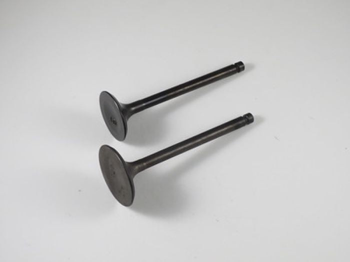 Engine Valve Set Yfm350a/Fa/Fg/G (04-11) - 07-308 | Shindy