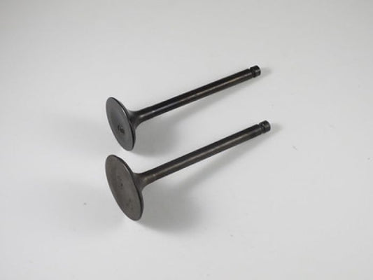 Engine Valve Set Yfm350a/Fa/Fg/G (04-11) - 07-308 | Shindy
