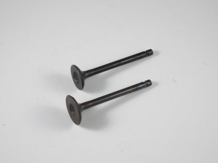 Engine Valve Set Yfm80/G/R/100 - 07-309 | Shindy