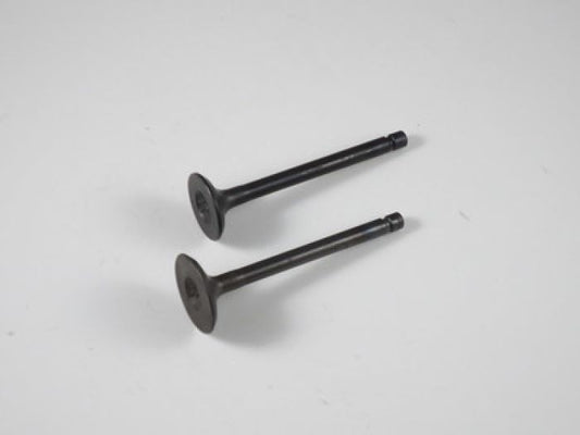 Engine Valve Set Yfm80/G/R/100 - 07-309 | Shindy
