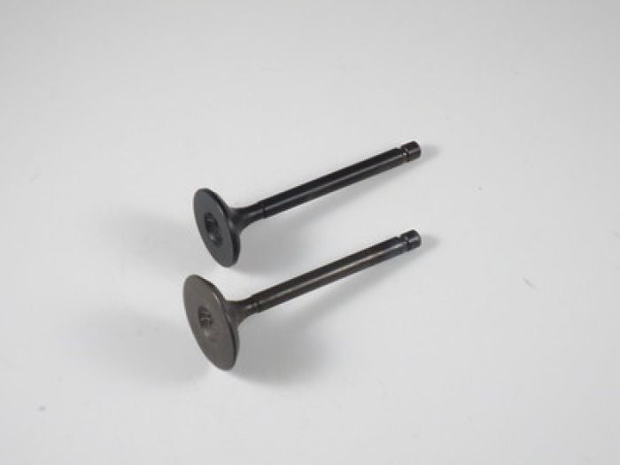 Engine Valve Set Yfm125/G (04-11) / Yfa1 - 07-310 | Shindy