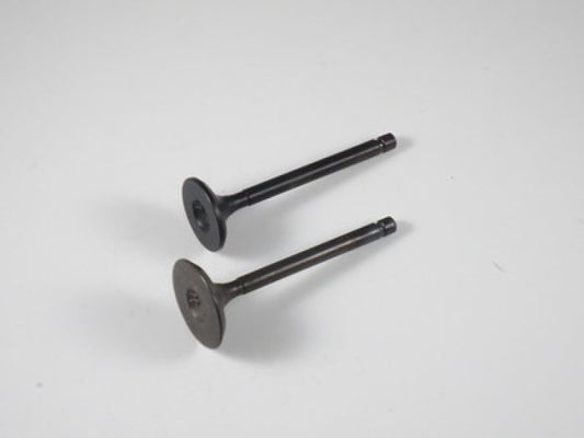 Engine Valve Set Yfm125/G (04-11) / Yfa1 - 07-310 | Shindy
