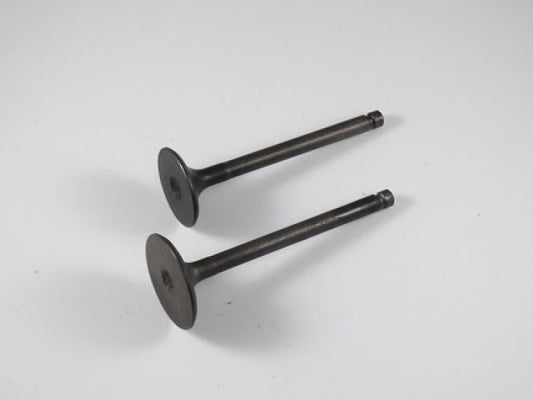 Engine Valve Set Yfm600 (98-01) - 07-311 | Shindy