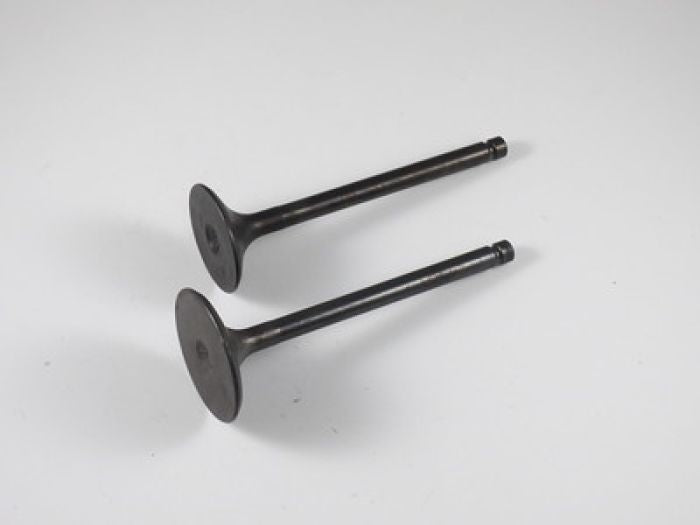 Engine Valve Set Yfm450fa/Fg - 07-312 | Shindy