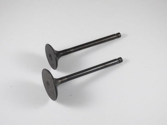 Engine Valve Set Yfm450fa/Fg - 07-312 | Shindy