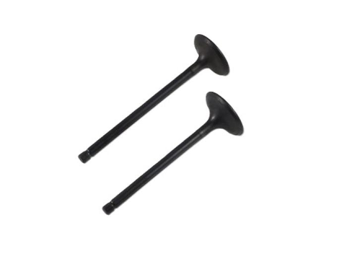 Engine Valve Set Yfm660f/R - 07-313 | Shindy