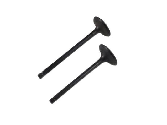 Engine Valve Set Yfm660f/R - 07-313 | Shindy