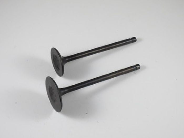 Engine Valve Set Yfm700fg/R - 07-314 | Shindy