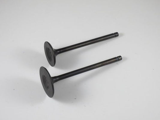 Engine Valve Set Yfm700fg/R - 07-314 | Shindy