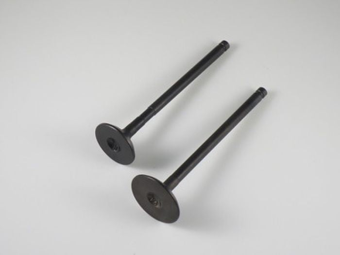 Engine Valve Set Sportsman450/500 - 07-401 | Shindy