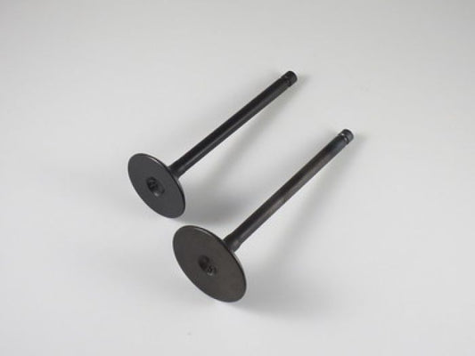 Engine Valve Set Sportsman550 (09-14) - 07-402 | Shindy