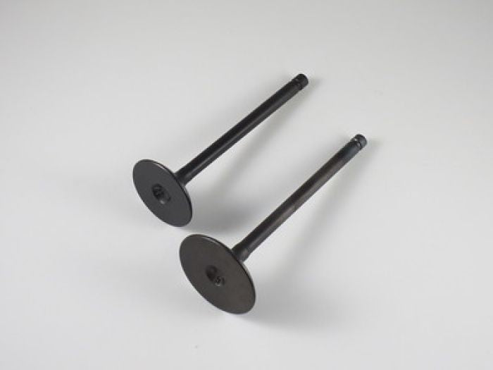 Engine Valve Set Sportsman570 (14-17) - 07-403 | Shindy
