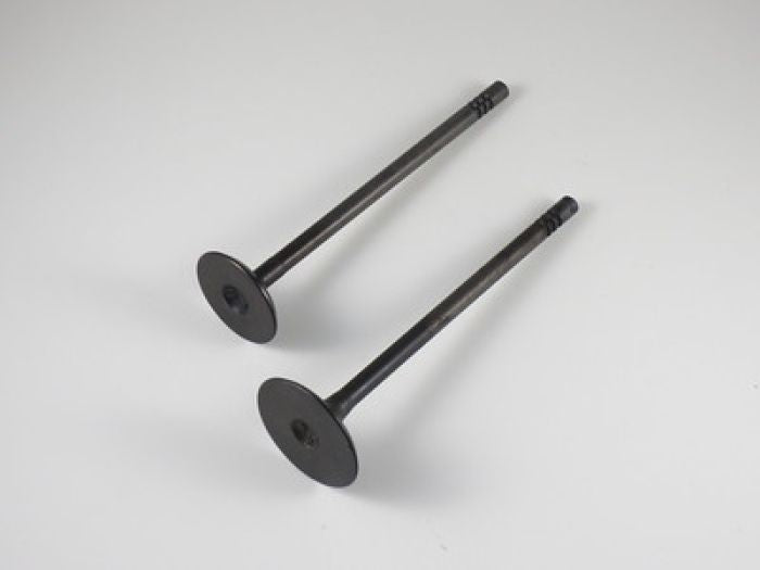 Engine Valve Set Rzr 800 (08-14) - 07-404 | Shindy