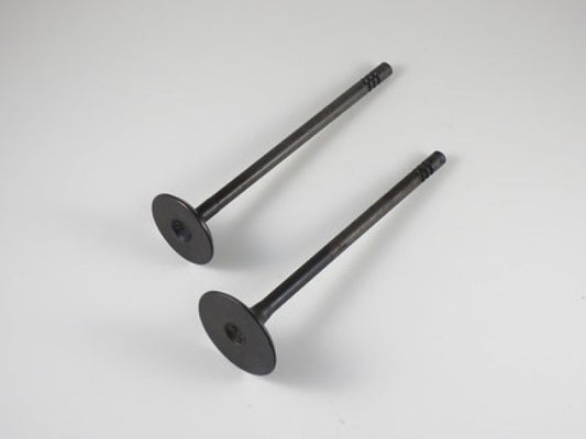 Engine Valve Set Rzr 800 (08-14) - 07-404 | Shindy