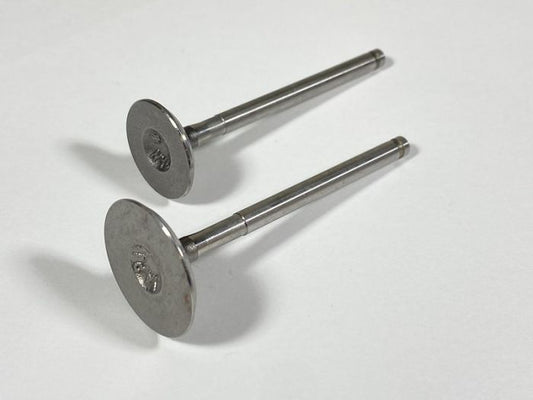 Engine Valve Set Rzr 170 (09-20) - 07-405 | Shindy