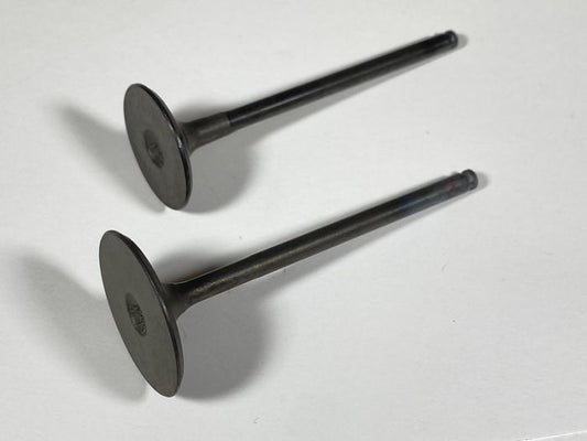 Engine Valve Set Rzr 900 (11-14) - 07-407 | Shindy