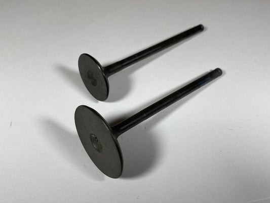 Engine Valve Set Rzr Xp Turbo (16-17) - 07-408 | Shindy