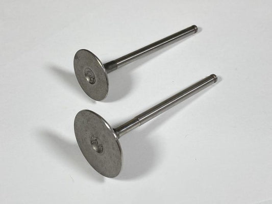 Engine Valve Set 1000 Maverick (13-18) - 07-474 | Shindy