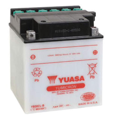 Yuasa YB30CL-B YUMICRON-12 Volt Battery - YUAM2230CTWN