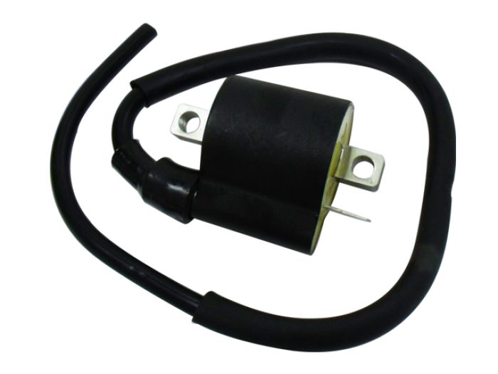 Bronco Ignition Coil - AT-01318