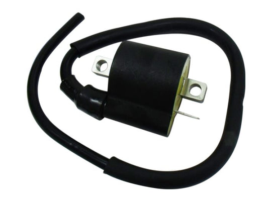 Bronco Ignition Coil - AT-01318