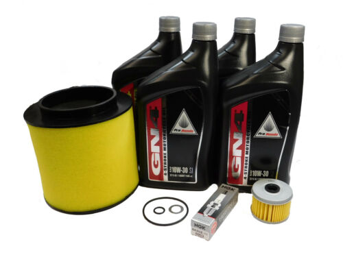 Powersports Authority 2014-2025 Honda Foreman Rubicon, Pioneer... - Powersports Authority