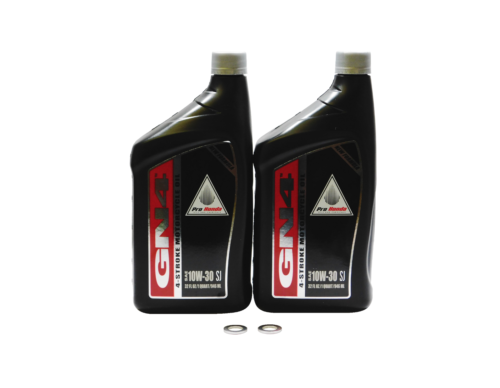 Powersports Authority 2006-2020 Honda Recon 250 TRX250 TE TM 2... - Powersports Authority