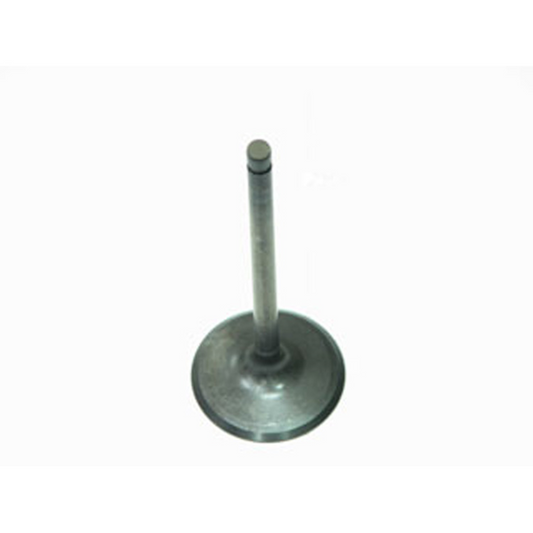 Bronco ATV Intake Valve - AU-09151I