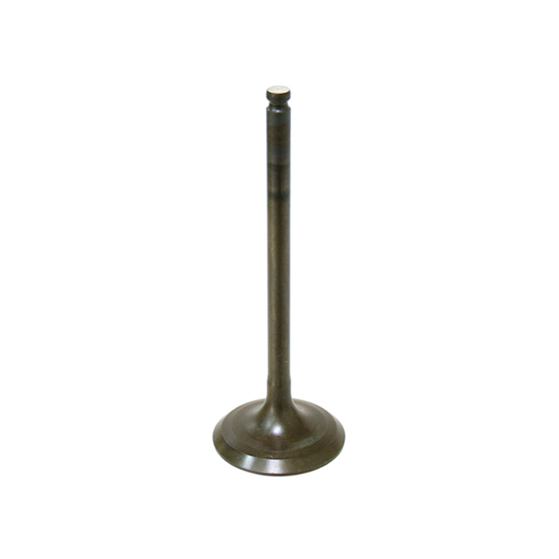 Bronco Intake Valve, Pc - AU-09160I