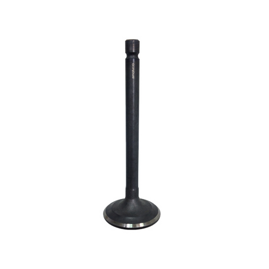 Bronco ATV Intake Valve - AU-09152I