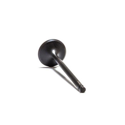 Bronco ATV Intake Valve - AU-09011I